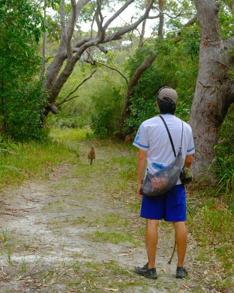 Young man stares down a kangaroo.