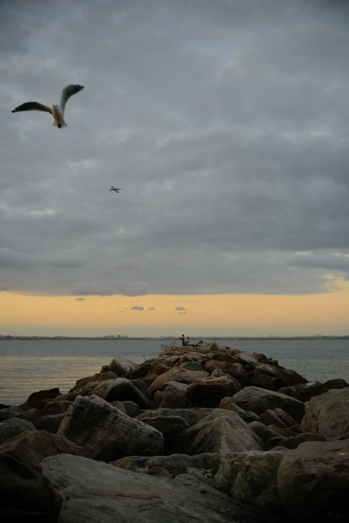 Birds flying over rocks at Kurnell Point