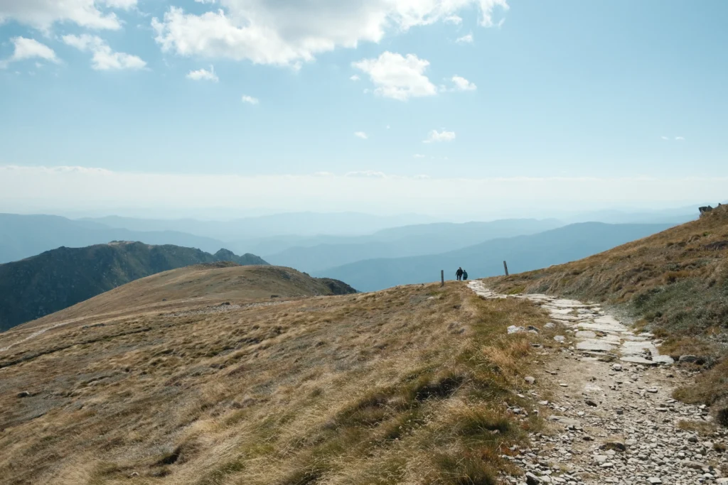 Alpine peaks and grassy ridges along the Australian Alps in Kosciuszko National Park.