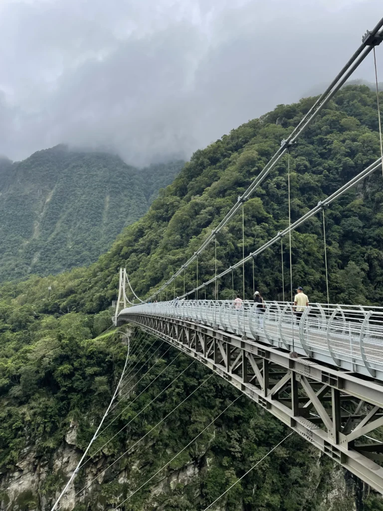 Hanging suspension bridge