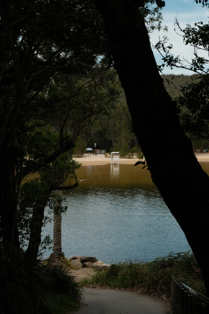 The path in to Wattamola beach